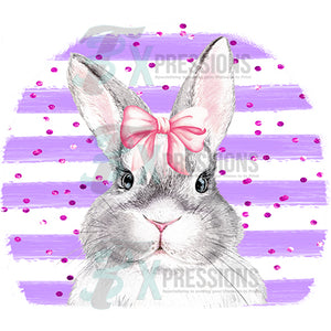 Gray Bunny with purple striped background