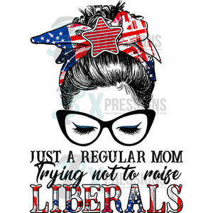 Just a regular mom trying not to raise liberals