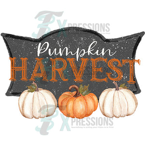 Pumpkin Harvest