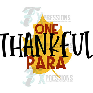 One thankful para