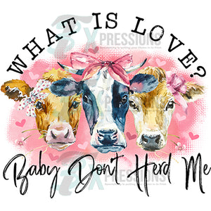 What is love Baby don't herd me