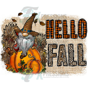 Hello Fall Gnome