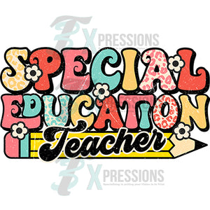 Special Education Teacher