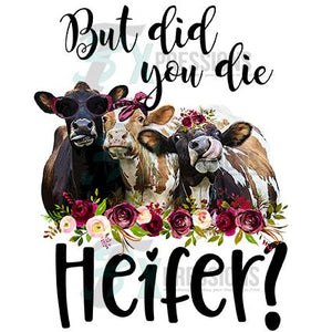 But Did you Die Heifer
