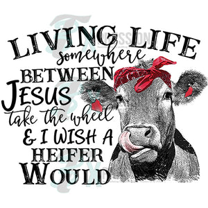 Living Life somewhere between Jesus take the wheel and I wish a Heifer would