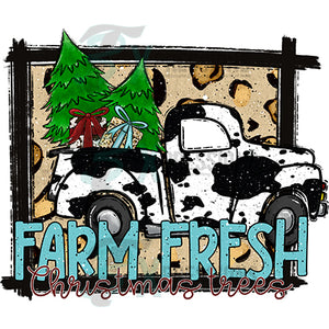 Farm Fress trees, Christmas