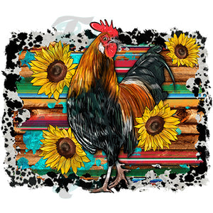 Western Rooster