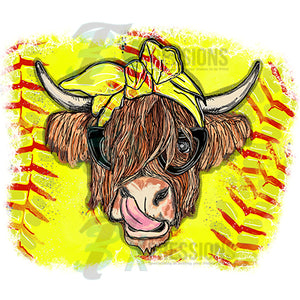Highland softball cow