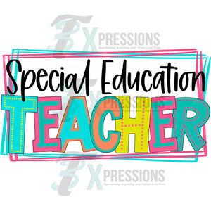 Special Education Teacher