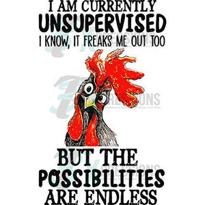 I'm Currently Unsupervised, Rooster