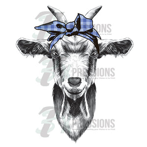 Blue Gingham Scarf Goat - 3T Xpressions