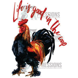 Life Is Good In The Coop, Rooster - 3T Xpressions