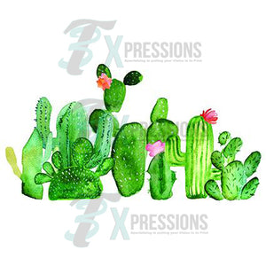Cactus - 3T Xpressions